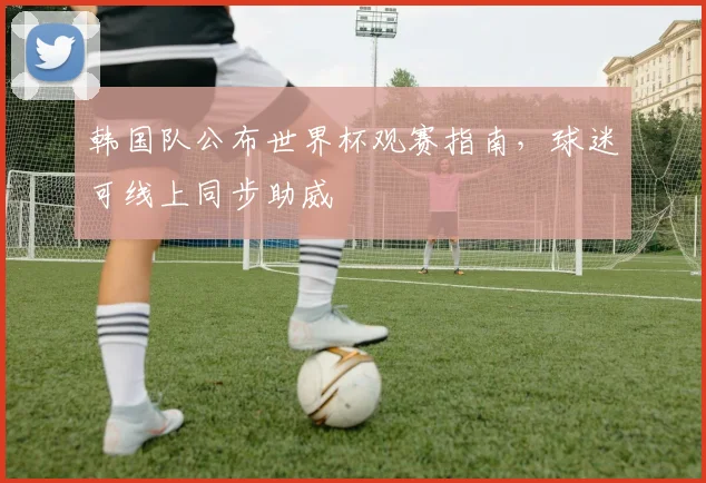 韩国队公布世界杯观赛指南，球迷可线上同步助威