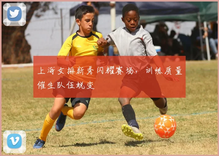 上海女排新秀闪耀赛场，训练质量催生队伍蜕变