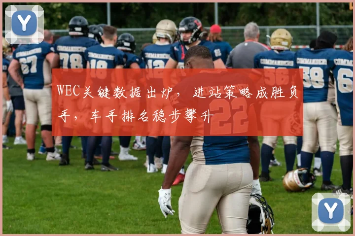 WEC关键数据出炉，进站策略成胜负手，车手排名稳步攀升